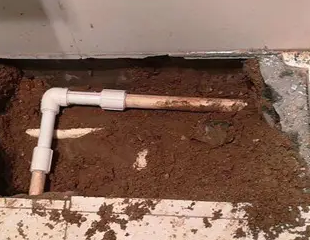 寿光测漏水哪家好