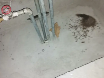 寿光卫生间测漏水价格明细