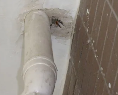 寿光漏水检测哪家好